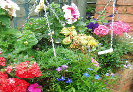 box-baskets-image