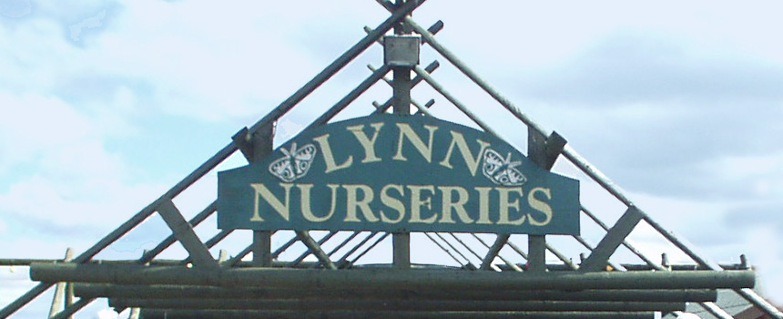 Plant Nursery Lynn Lichfield Lynn Nurseries